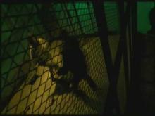 TOKYO GIRL COP - bande annonce