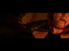 TEASER "IL GATTO DAL VISO D'UOMO"