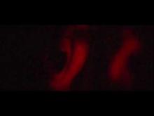 AN AMERICAN TERROR OFFICIAL TRAILER (School Shooting Horror Film)