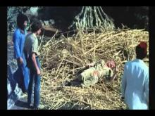 La Tumba de los Muertos Vivientes (Oasis of the Zombies) (Jess Franco, 1982) - Trailer