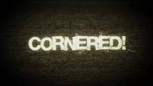 Cornered! - Official Trailer