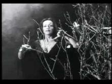 plan 9 from outer space (trailer)