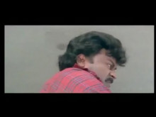 Best Horse Slide Ever (in slow motion at the end)