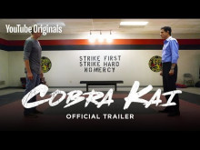 Official Cobra Kai Trailer - The Karate Kid saga continues