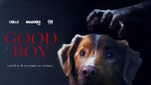 GOOD BOY - trailer VOSTFR