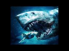 Shark Week - End Titles (Chris Ridenhour - 2012)