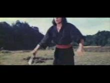 English trailer for The Warrior against the Blind Swordsman