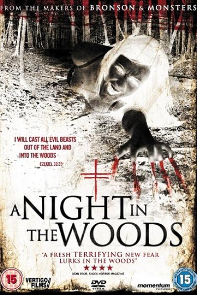 A Night in the Woods A Night in the Woods