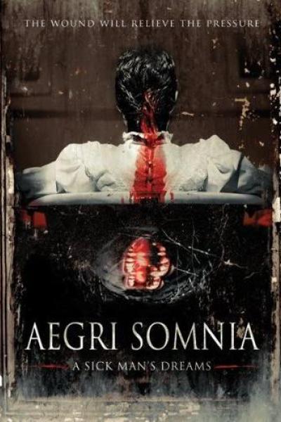 Aegri Somnia : A Sick Man's Dreams