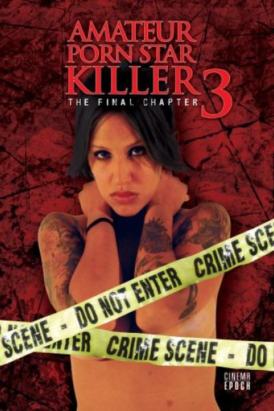 Amateur porn star killer 3 : The final chapter