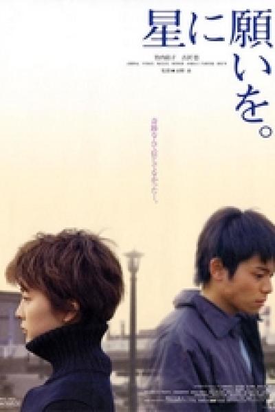 Night of the Shooting Stars