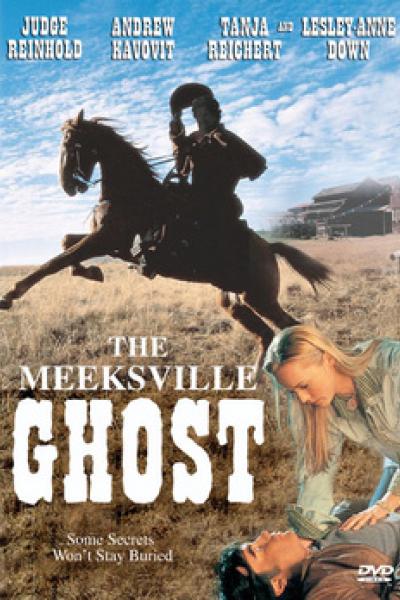 The Meeksville Ghost