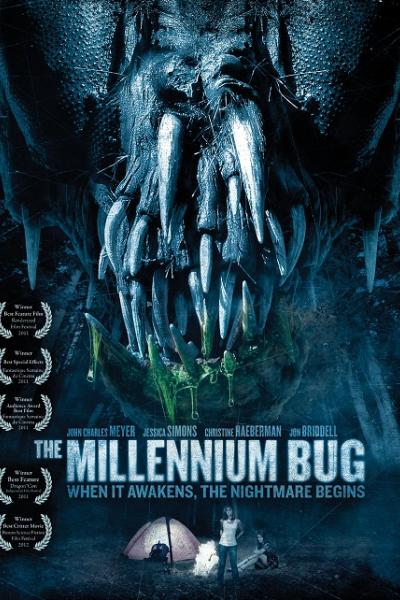 The Millennium Bug