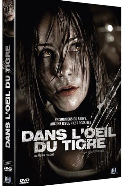 Dans l'oeil du tigre Dans l'oeil du tigre