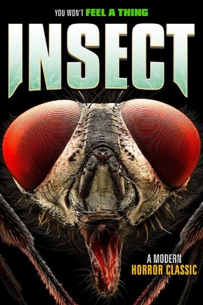Insect