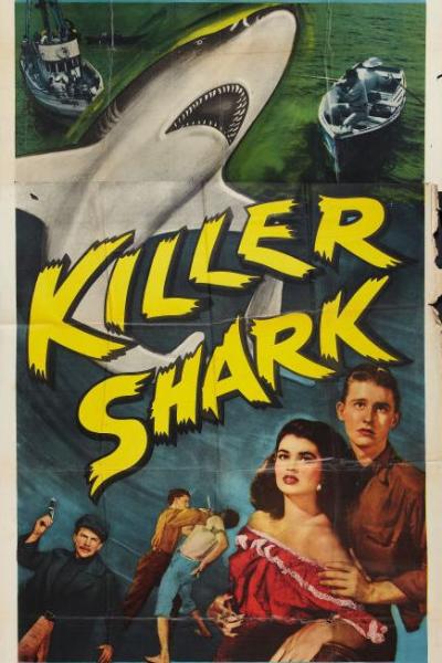 Killer Shark