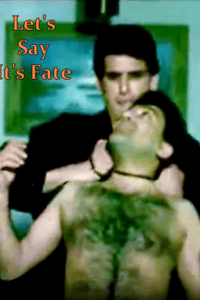 Let's Say It's Fate Let's Say It's Fate