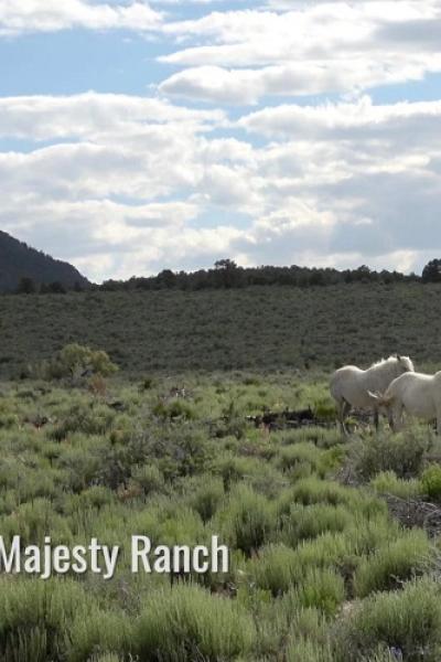 Horror in the High Desert 4: Majesty
