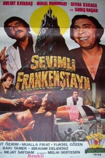 My Friend Frankenstein