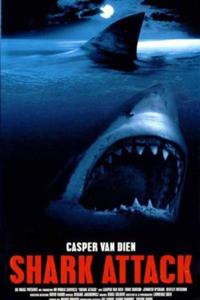 Shark Attack