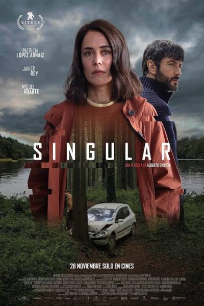 Singular Singular