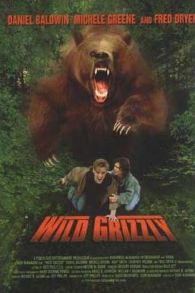 Sur la piste du grizzly