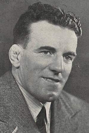 Kiwi Kingston Kiwi Kingston