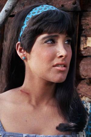 Vicki Volante Vicki Volante