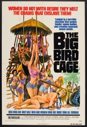 The Big Bird Cage