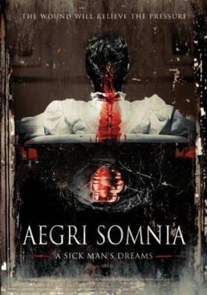 Aegri Somnia : A Sick Man's Dreams