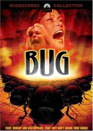 Les Insectes de Feu Les Insectes de Feu