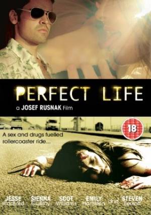 Perfect life