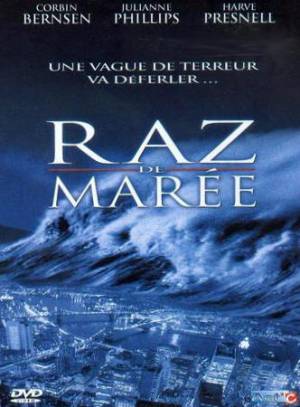 Raz de marée - Alerte sur la côte