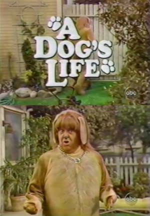 A Dog's Life A Dog's Life