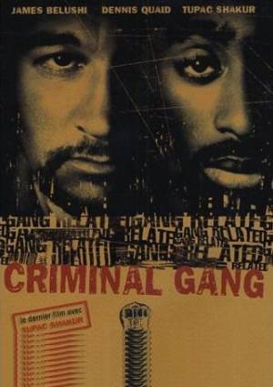 Criminal gang