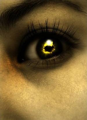 The Dark Rite The Dark Rite