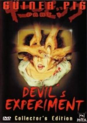 Guinea Pig : Devil's Experiment