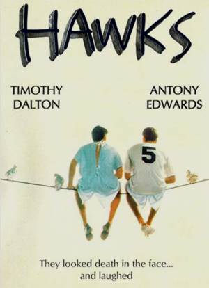 Hawks Hawks