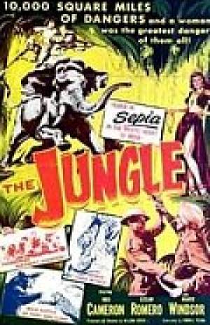 The Jungle The Jungle