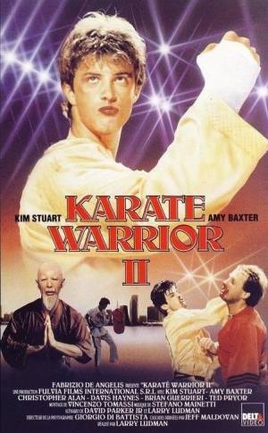 Karate Warrior 2