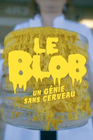 Le Blob: Un Génie Sans Cerveau 