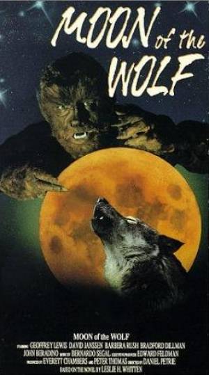 Le  Loup de la Nuit