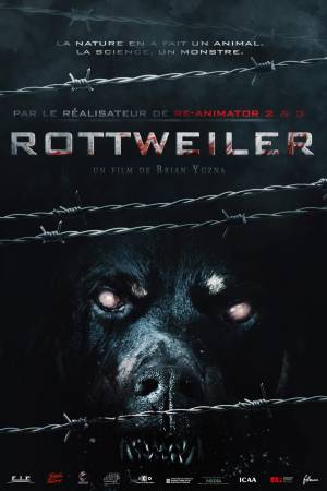 Rottweiler