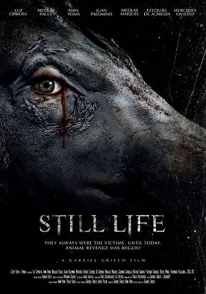 Still Life Still Life