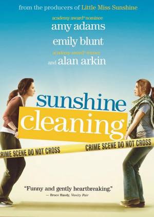 Sunshine Cleaning Sunshine Cleaning