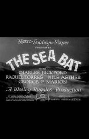 The Sea Bat The Sea Bat