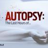 Hollywood Autopsy