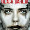 Black Dahlia