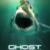 Ghost Shark