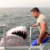 Jersey Shore Shark Attack